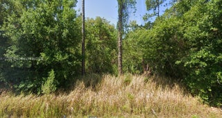 Photo of Listing #A11726613