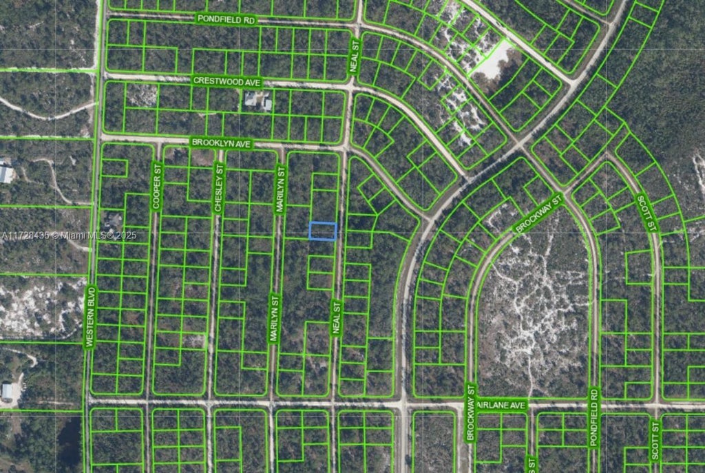 718 Neale Street, Other City - In The State Of Florida