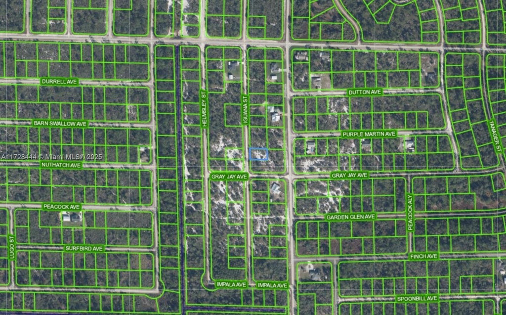 1045 Iguana, Other City - In The State Of Florida