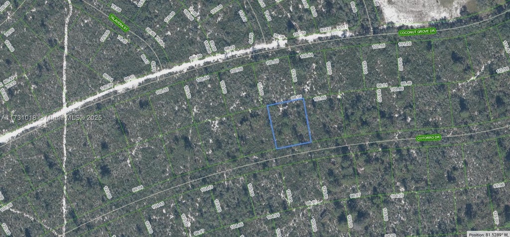 6456 Cotorro Drive, Sebring