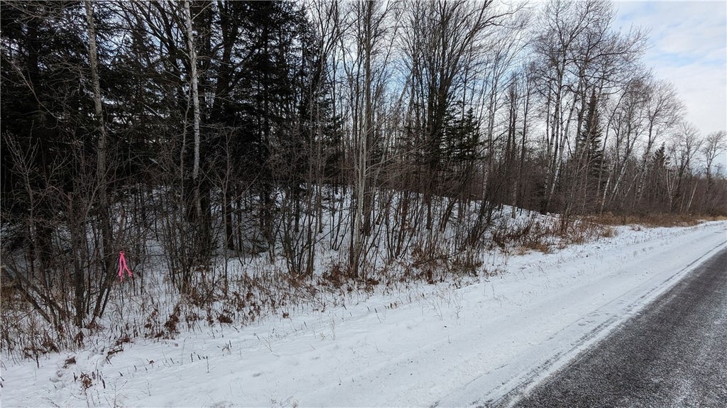 Lot 0 N County Highway W, Winter