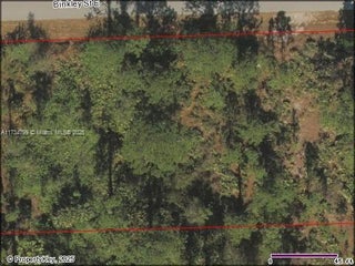 Photo of Listing #A11734799