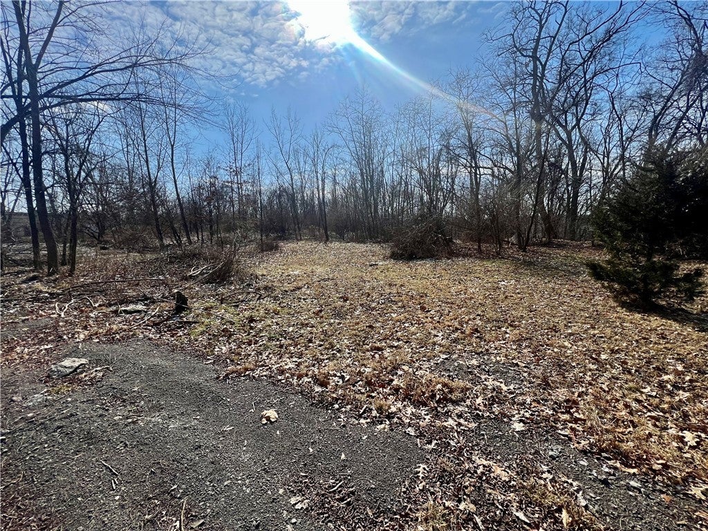 Laurel Avenue, New Castle