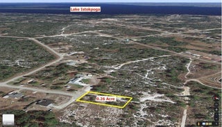 Photo of Listing #A11745530