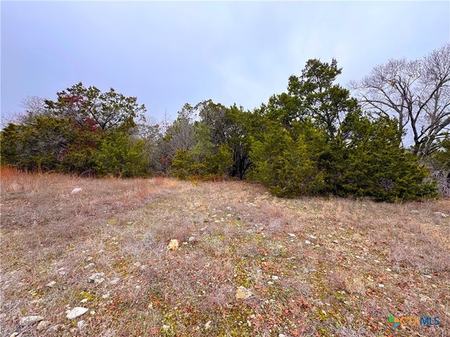 Atlantis Avenue, Spring Branch