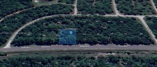 Photo of Listing #A11746617