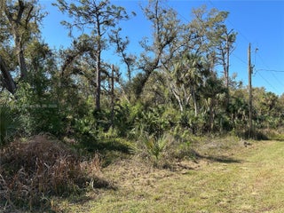 Photo of Listing #A11748266