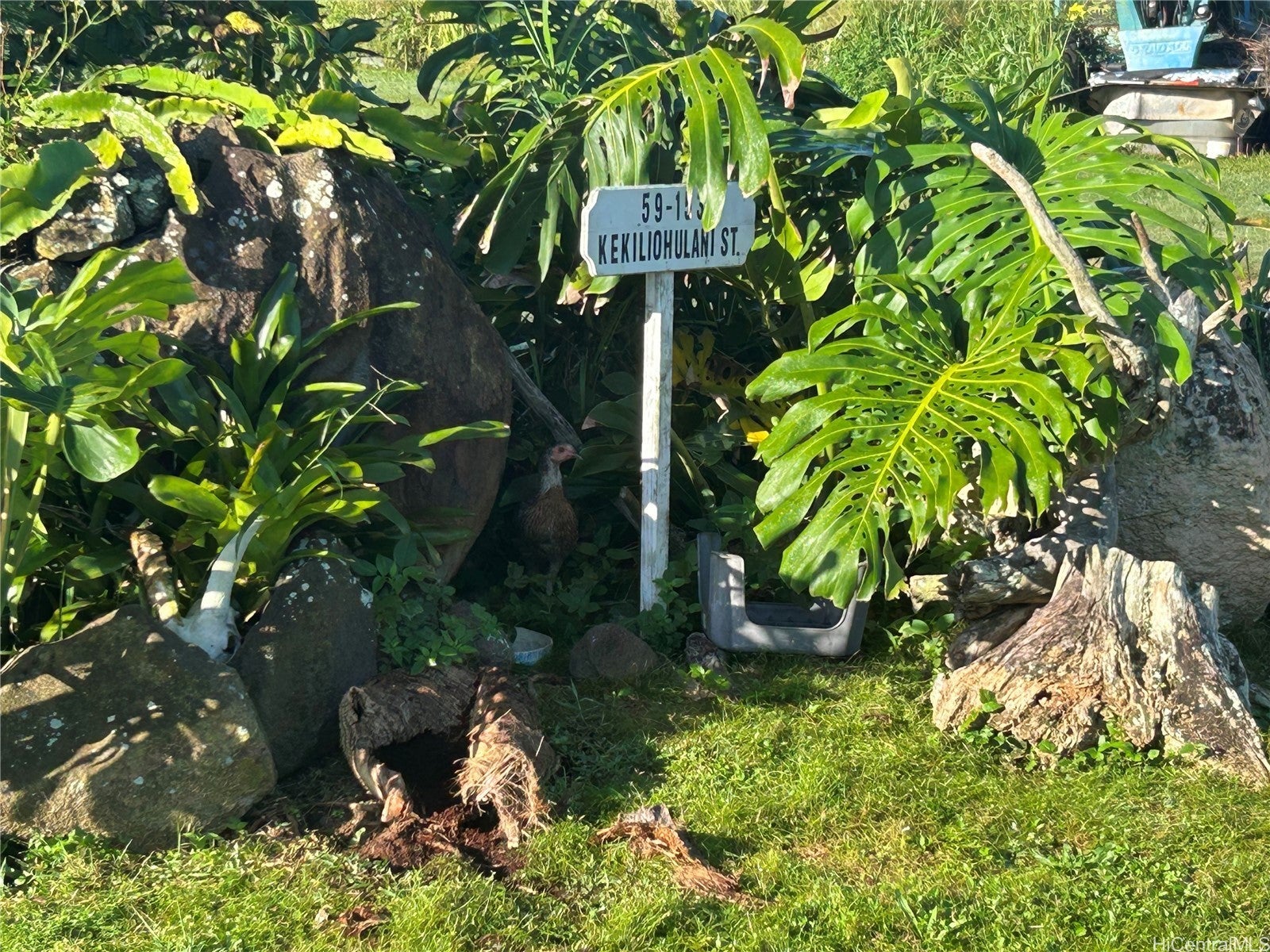 Photo of Listing #202505672