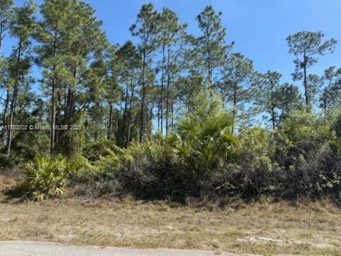 1 of 3 - 1306 Irving Ave, Lehigh Acres, FL