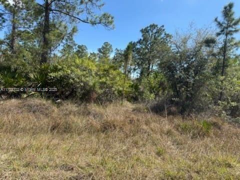 2 of 3 - 1306 Irving Ave, Lehigh Acres, FL