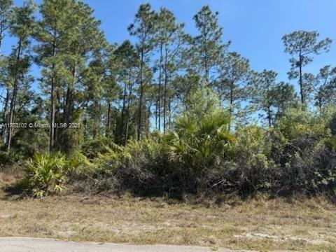 3 of 3 - 1306 Irving Ave, Lehigh Acres, FL