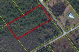 Photo of Listing #A11754694