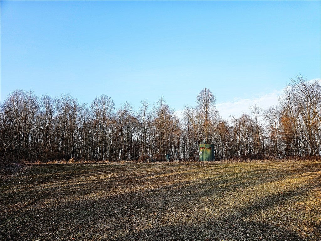 00 Blackleggs Road, Conemaugh/Young Twps - IND