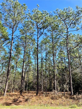 Photo of Listing #A11760676