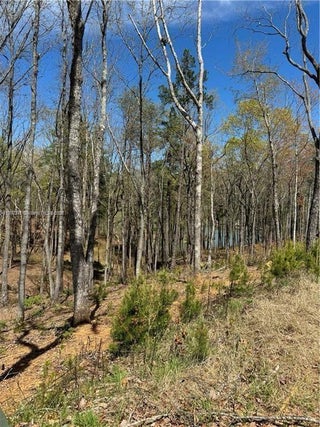 Photo of Listing #A11760398