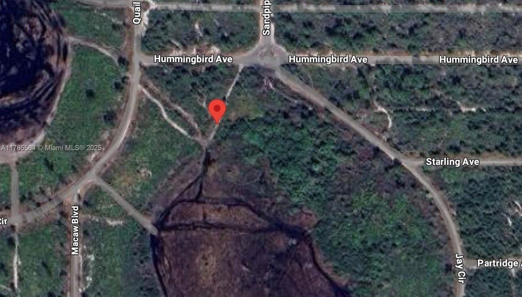 705 Hummingbird Ave, Sebring