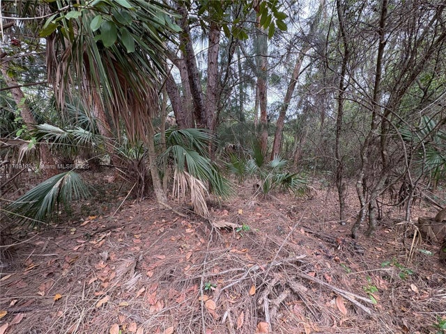 5 of 12 - 30xx Forest Hills Dr, Coral Springs, FL