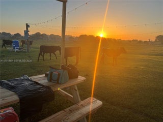 Photo of Listing #A11771849