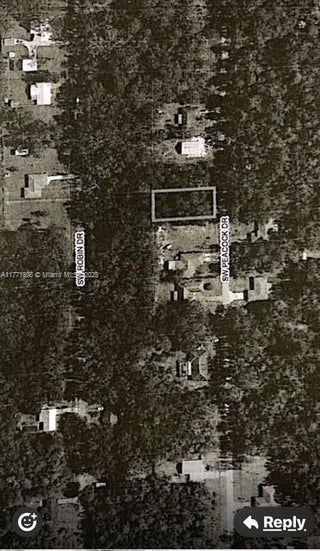 Photo of Listing #A11771898