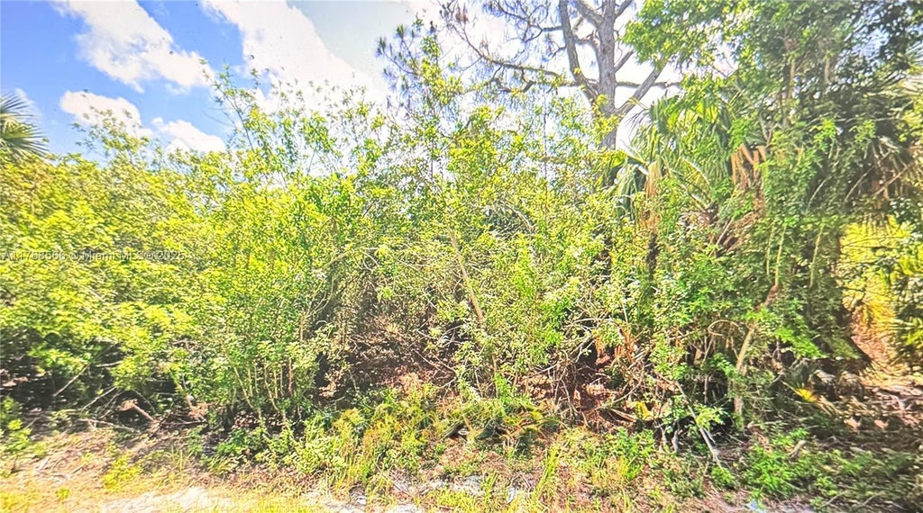 N/A, Palm Bay