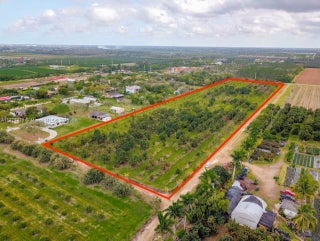 Photo of Listing #A11774779