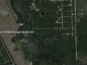 Photo of Listing #A11777656