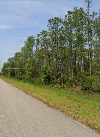 Photo of Listing #A11777065