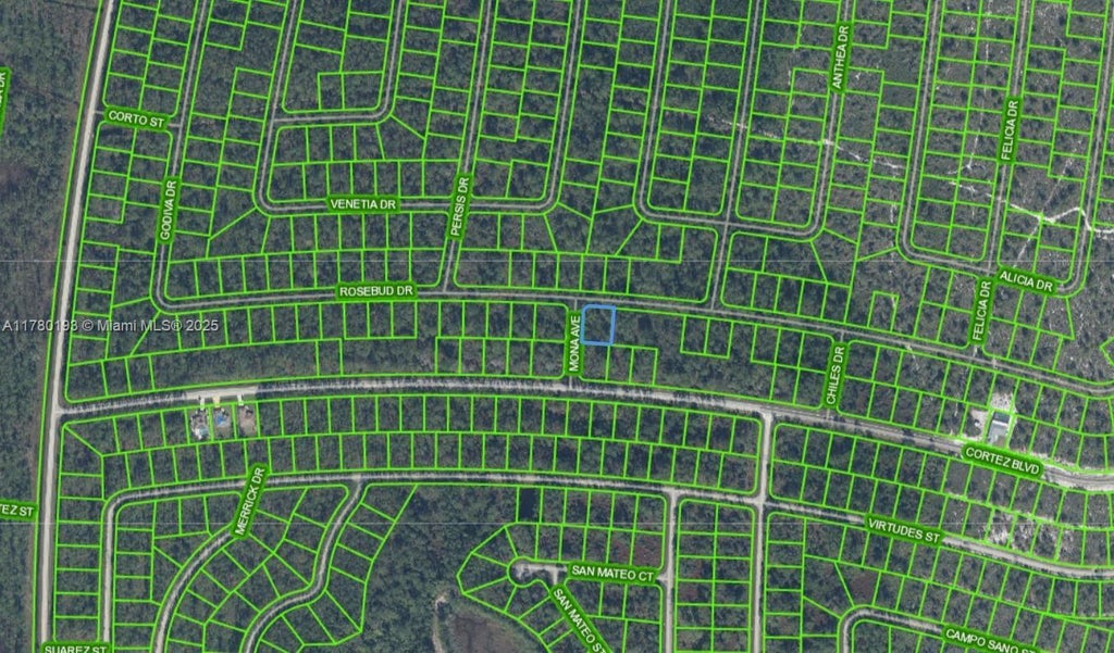 7004 Mona Avenue, Sebring