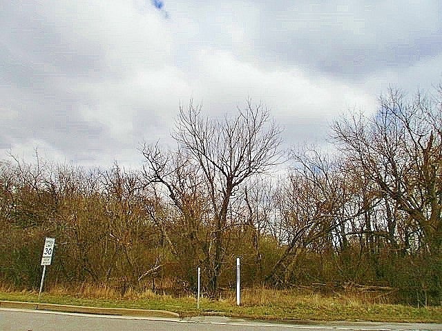 321 Mcmurray Rd, Upper St. Clair