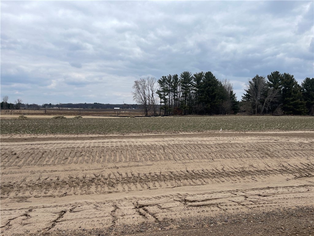 Lot #3 14th Avenue, Elk Mound