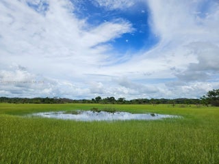 Photo of Listing #A11788625