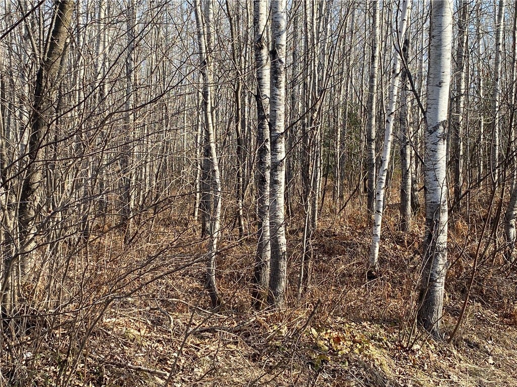 Near Bass Lake Road, Park Falls