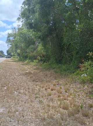 Photo of Listing #A11790190