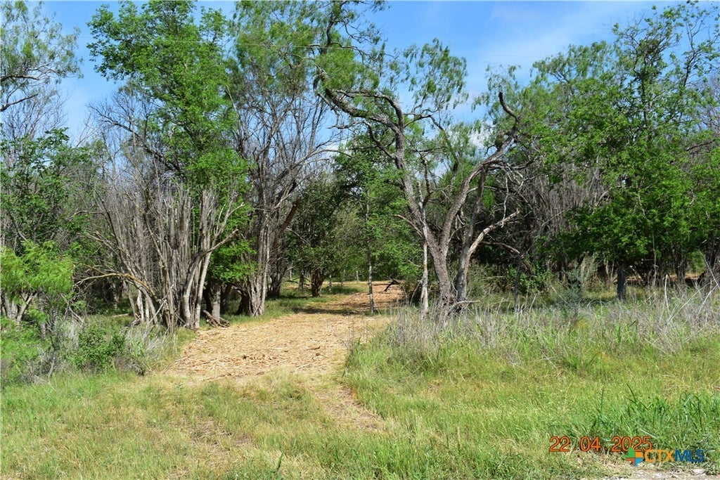 000tbd Caney Creek Road, New Braunfels