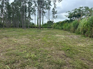 Photo of Listing #A11795986