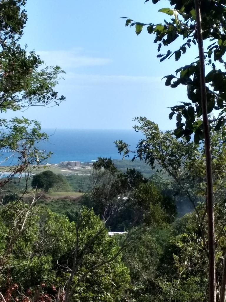 16 Top Rd St Ann's Bay Jamaica,
