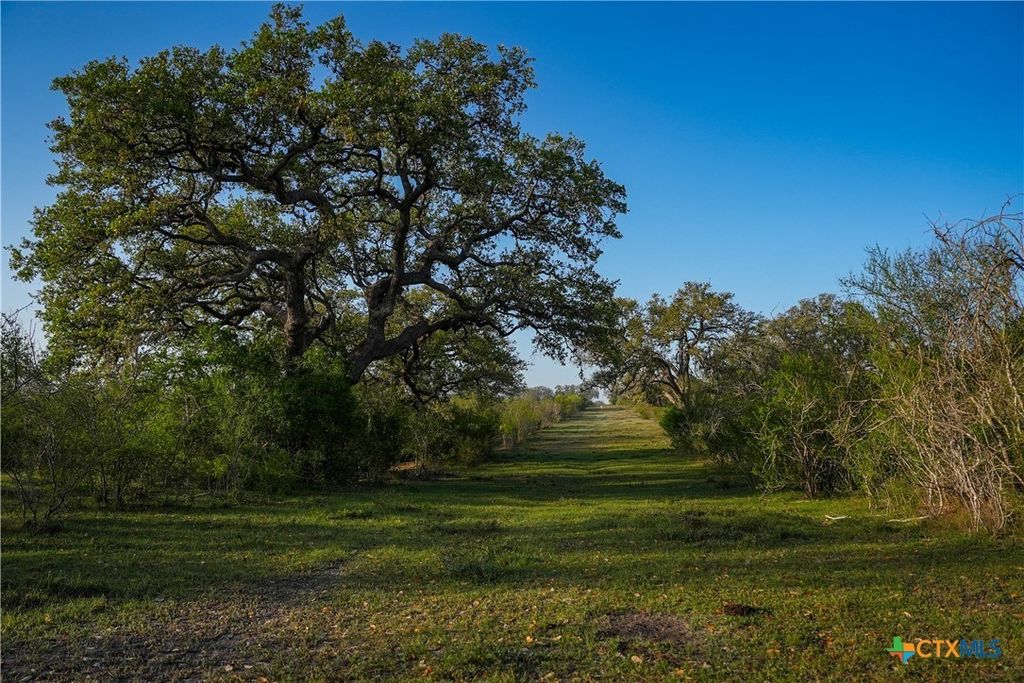 8440 State Highway 239, Goliad