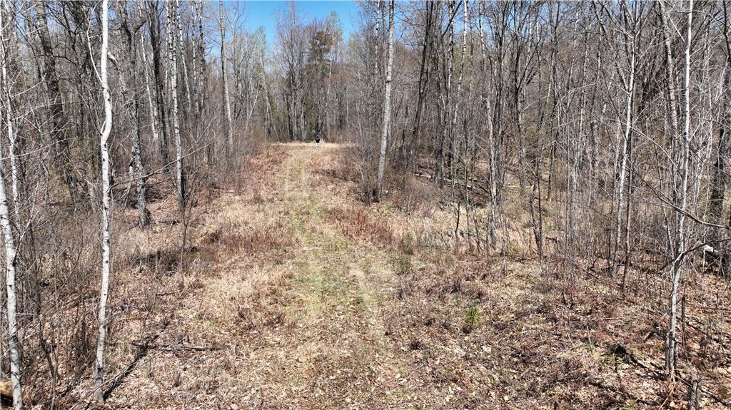 Xx E Beauregard Lake Road, Solon Springs