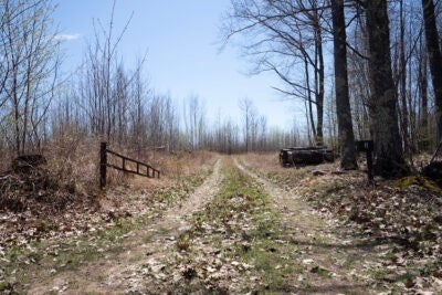 Xxx E Beauregard Lake Road, Gordon