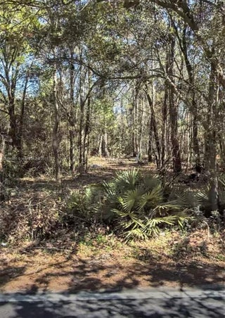 Photo of Listing #A11804836