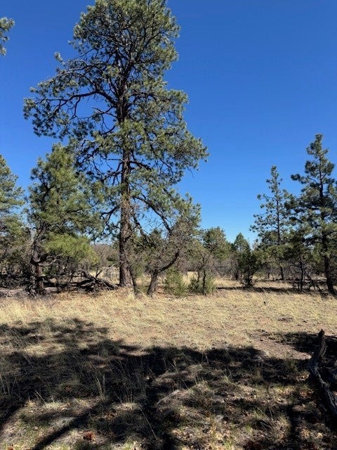 Tbd Doe Run, Los Ojos