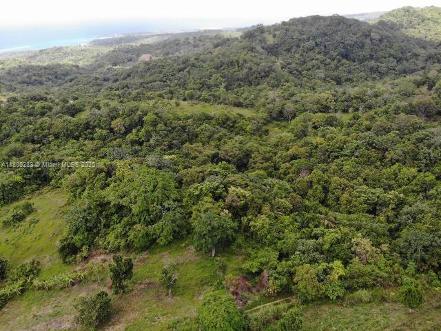 00 Tanglewood, St Ann Jamaica,