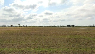 Photo of Listing #A11810312