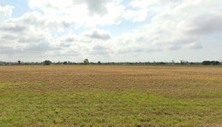 Photo of Listing #A11810332