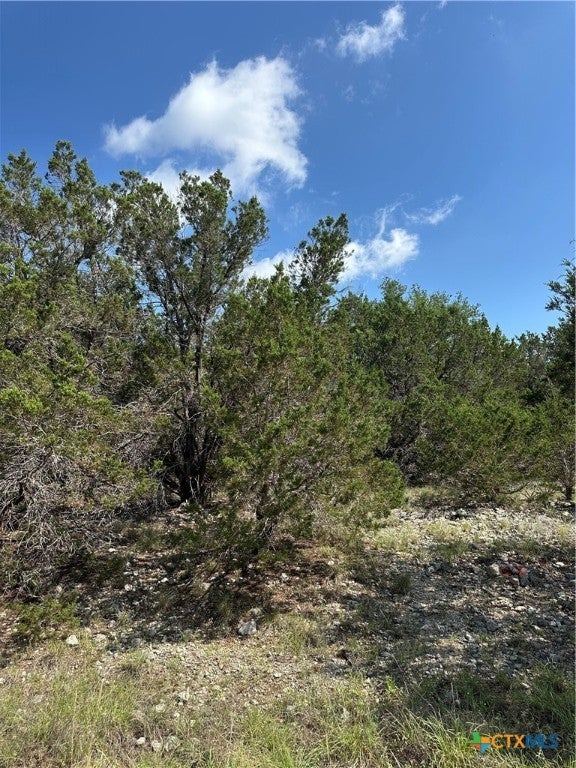 121 Agarita Drive, Spring Branch