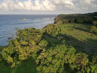 Photo of Listing #A11811510