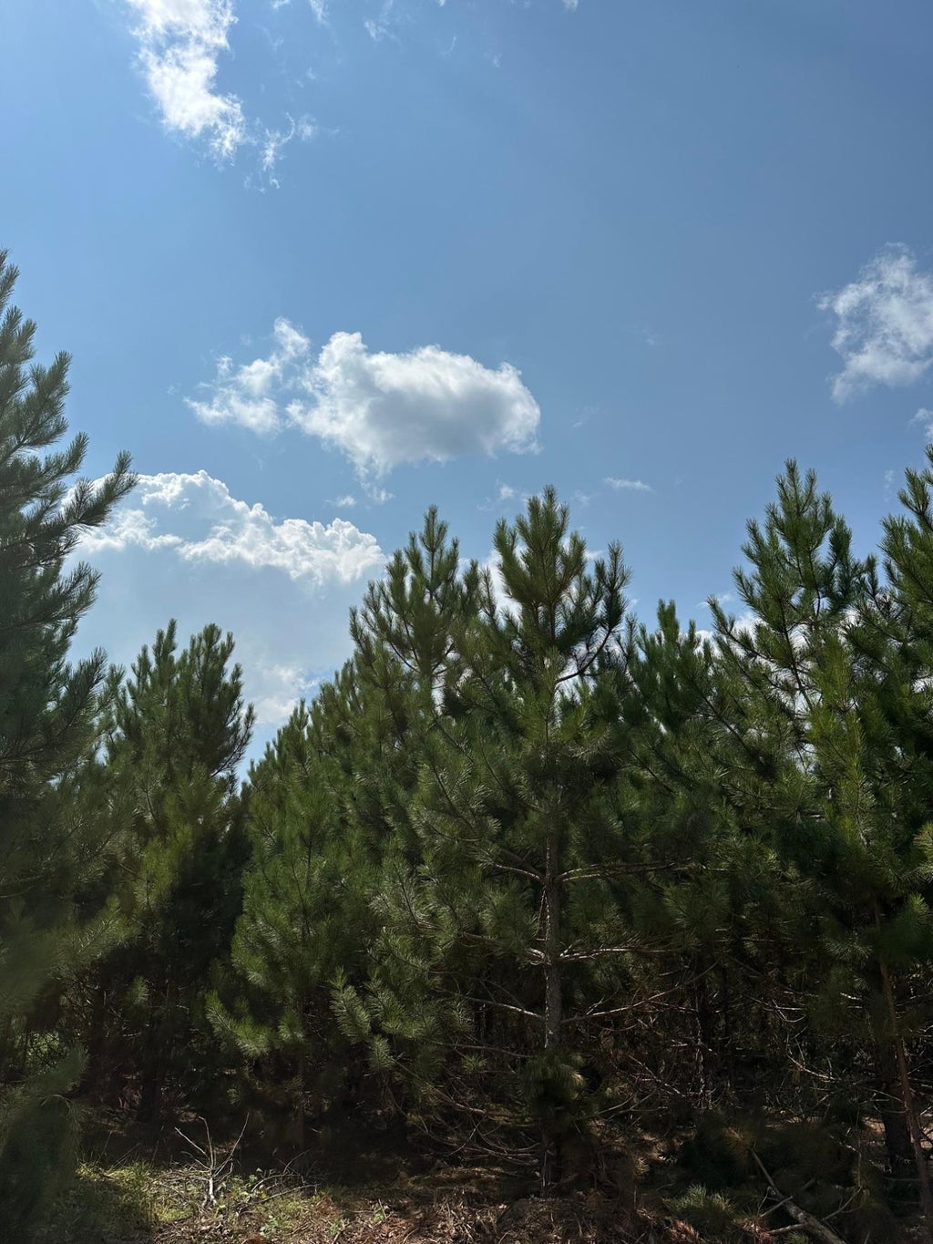 On Cth Y # Lot 4, Tomahawk