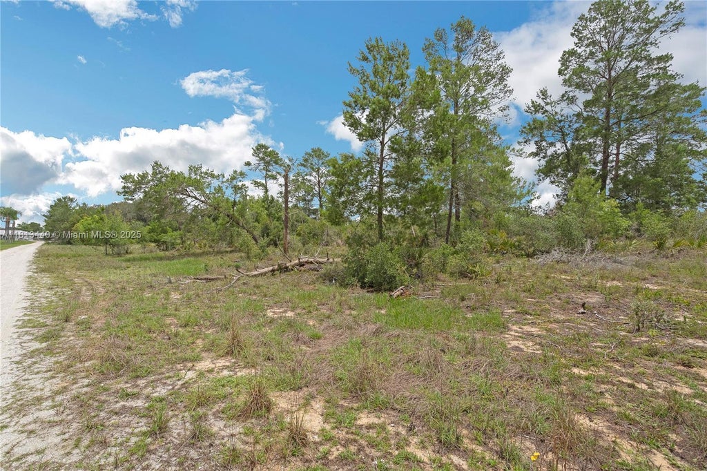 3055 Scoralick Rd, Avon Park
