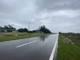 Photo of Listing #A11814025