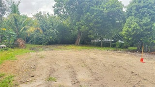 Photo of Listing #A11814701